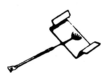 Miniatuur 1