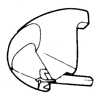Miniatuur 1