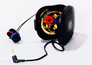 Miniatuur 2